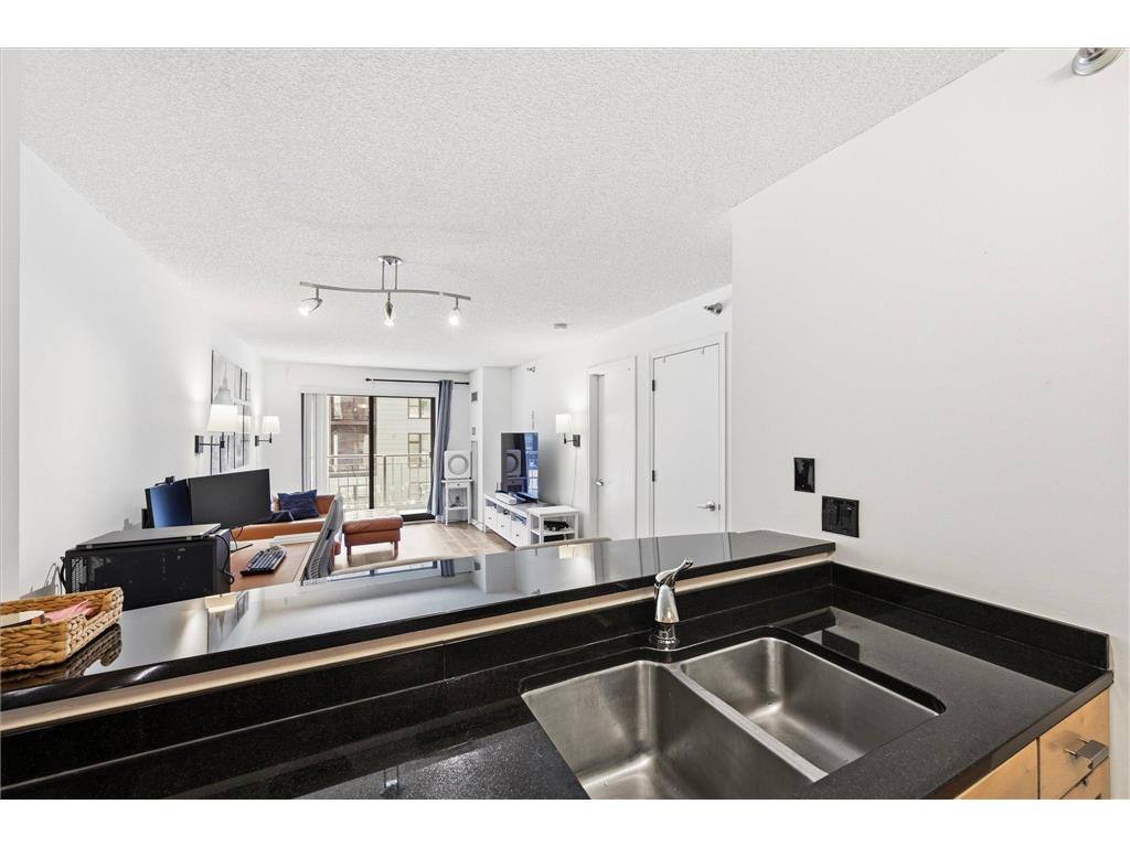 401 1st Street S #203 Minneapolis MN 55401 - Mississippi 7050336 image2