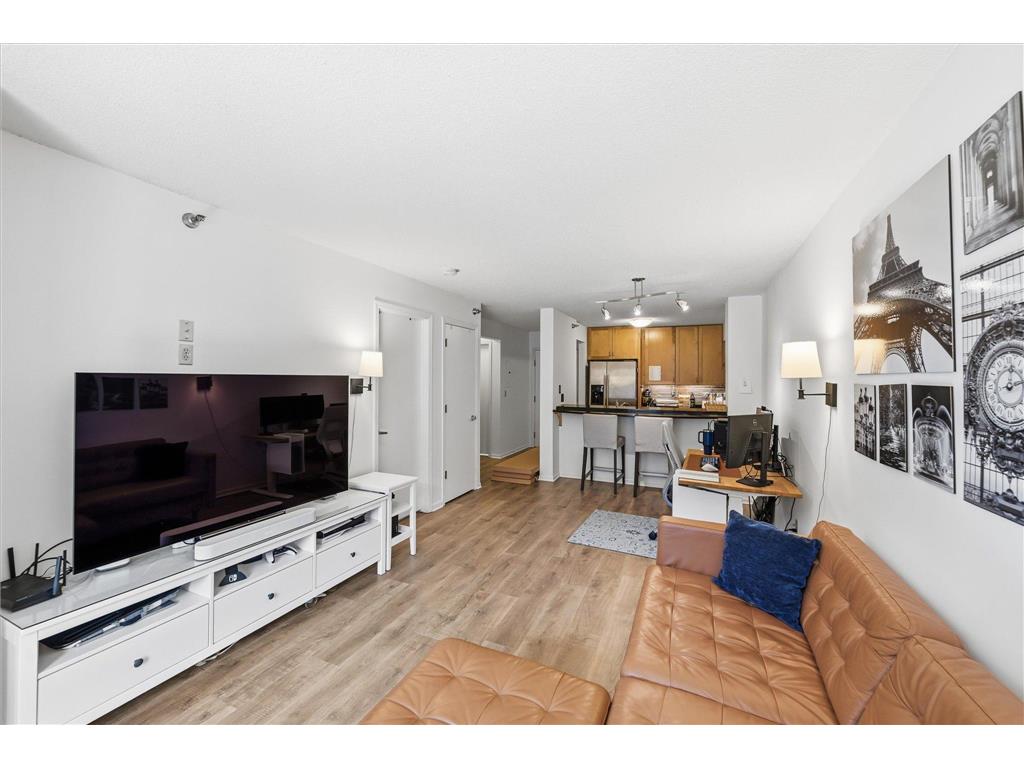 401 1st Street S #203 Minneapolis MN 55401 - Mississippi 7050336 image3
