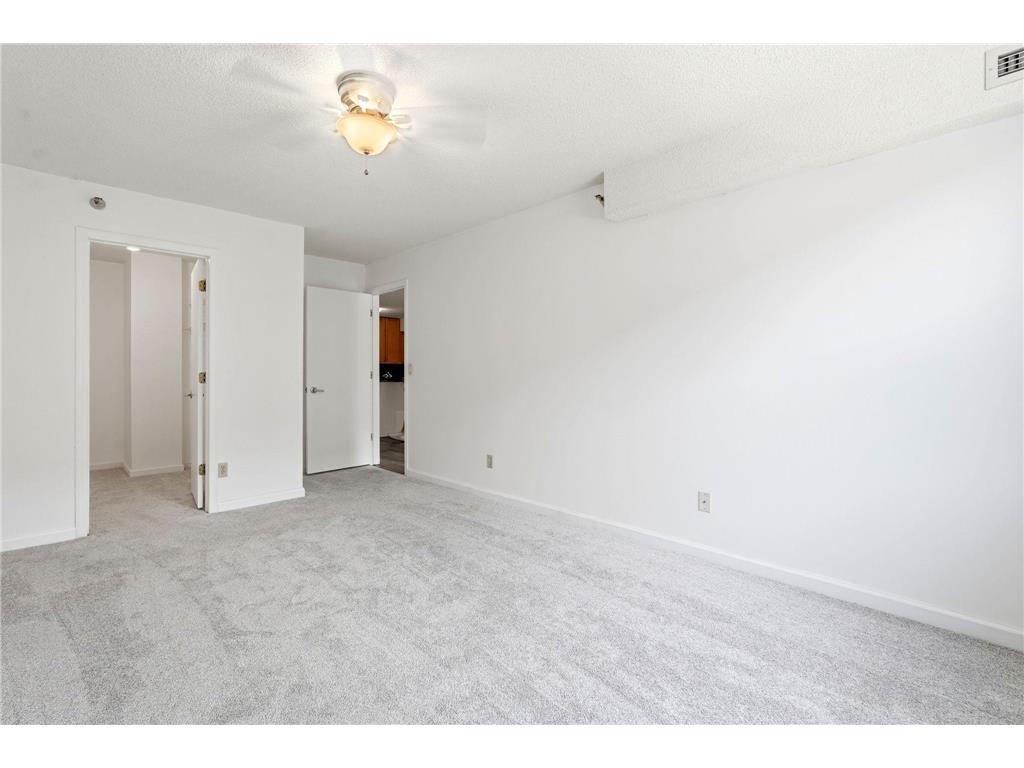 401 1st Street S #203 Minneapolis MN 55401 - Mississippi 7107104 image10