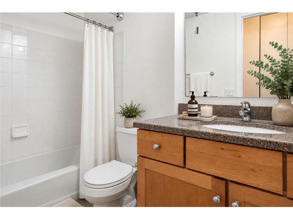401 1st Street S #203 Minneapolis MN 55401 - Mississippi 7107104 image5