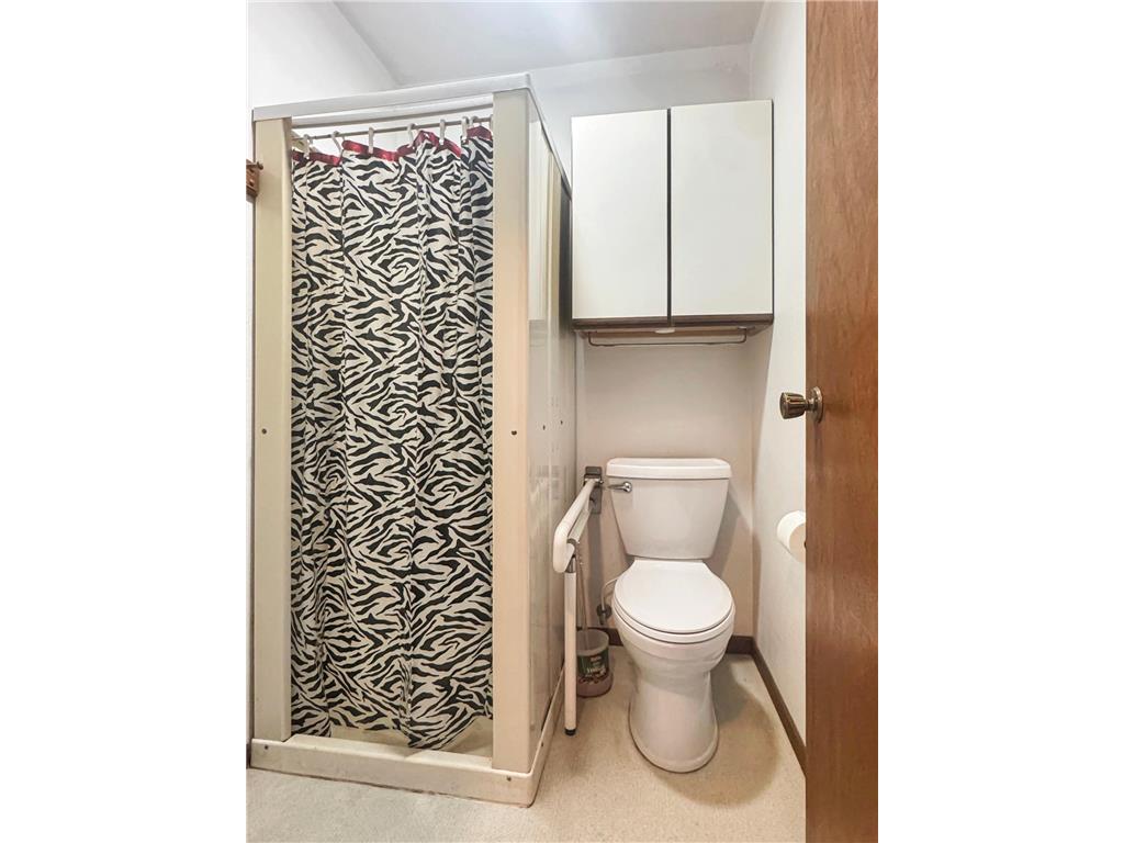 401 Lake Avenue S Balaton MN 56115 7042006 image11