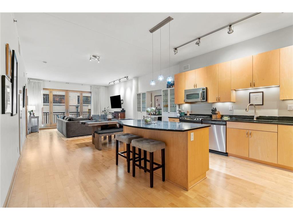 401 N 2nd Street #117 Minneapolis MN 55401 6510257 image1