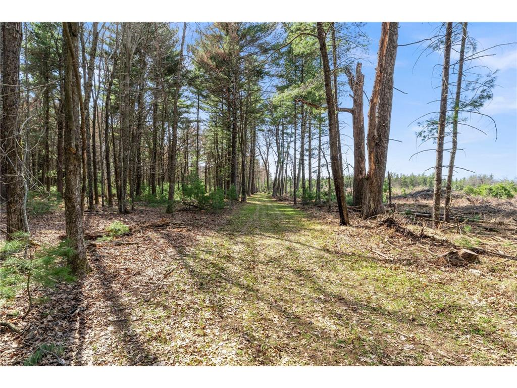 401 N Russell Street Grantsburg WI 54840 7060155 image10