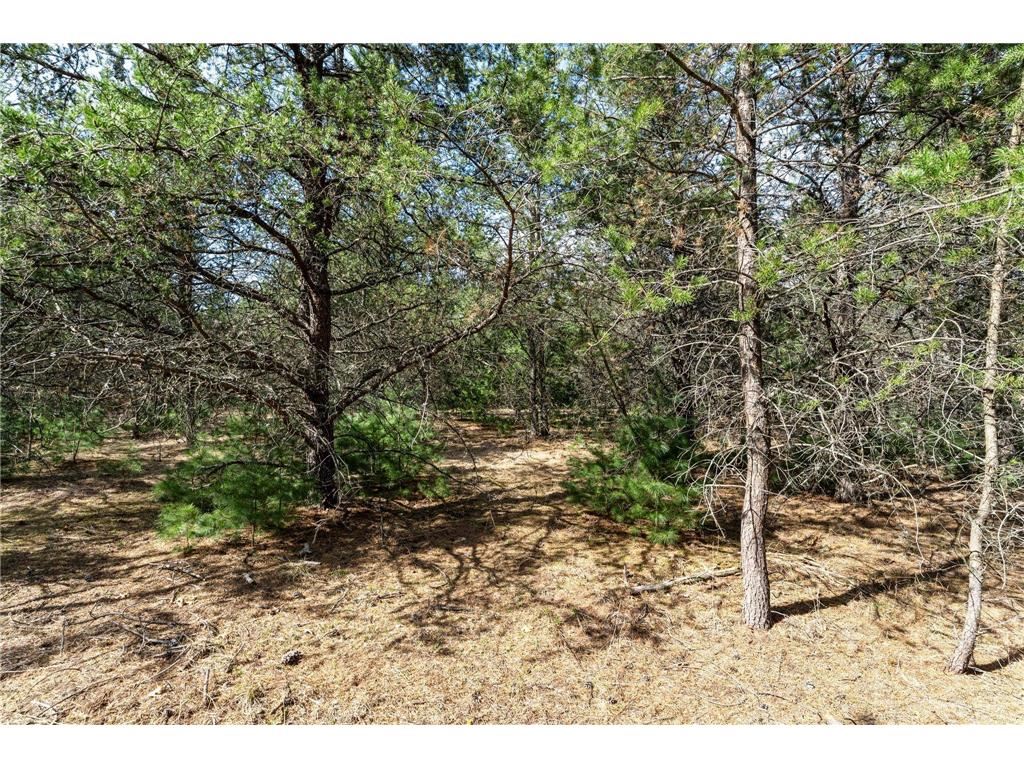 401 N Russell Street Grantsburg WI 54840 7060155 image8