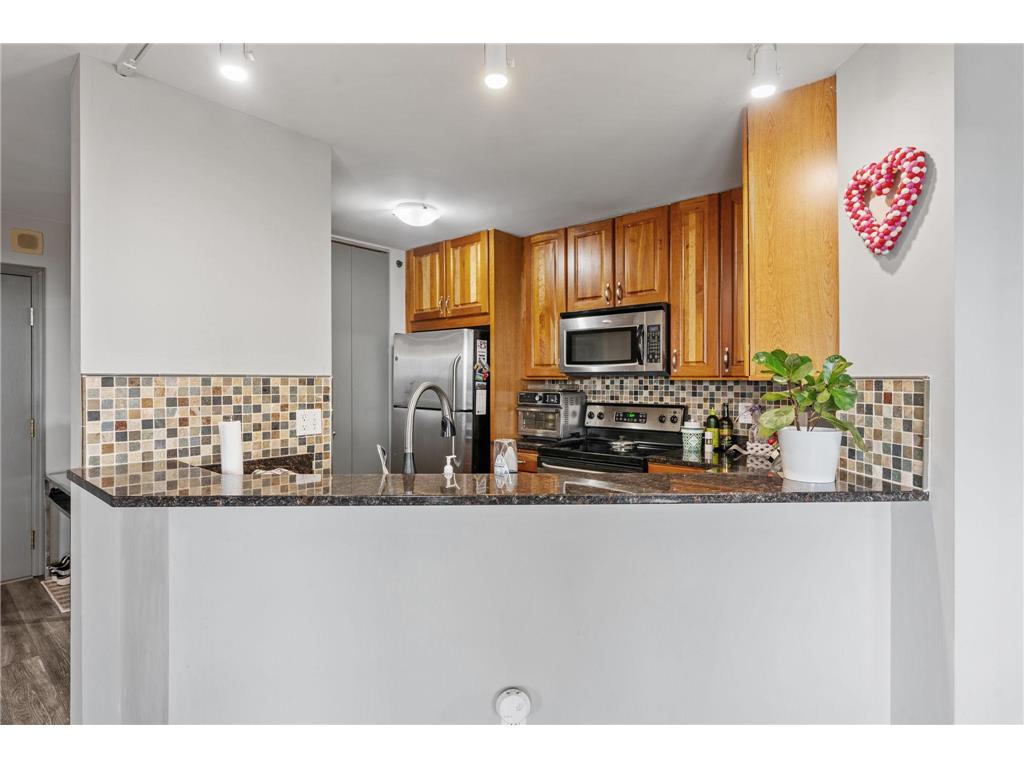 401 S 1st Street #1702 Minneapolis MN 55401 - Mississippi 7107617 image17