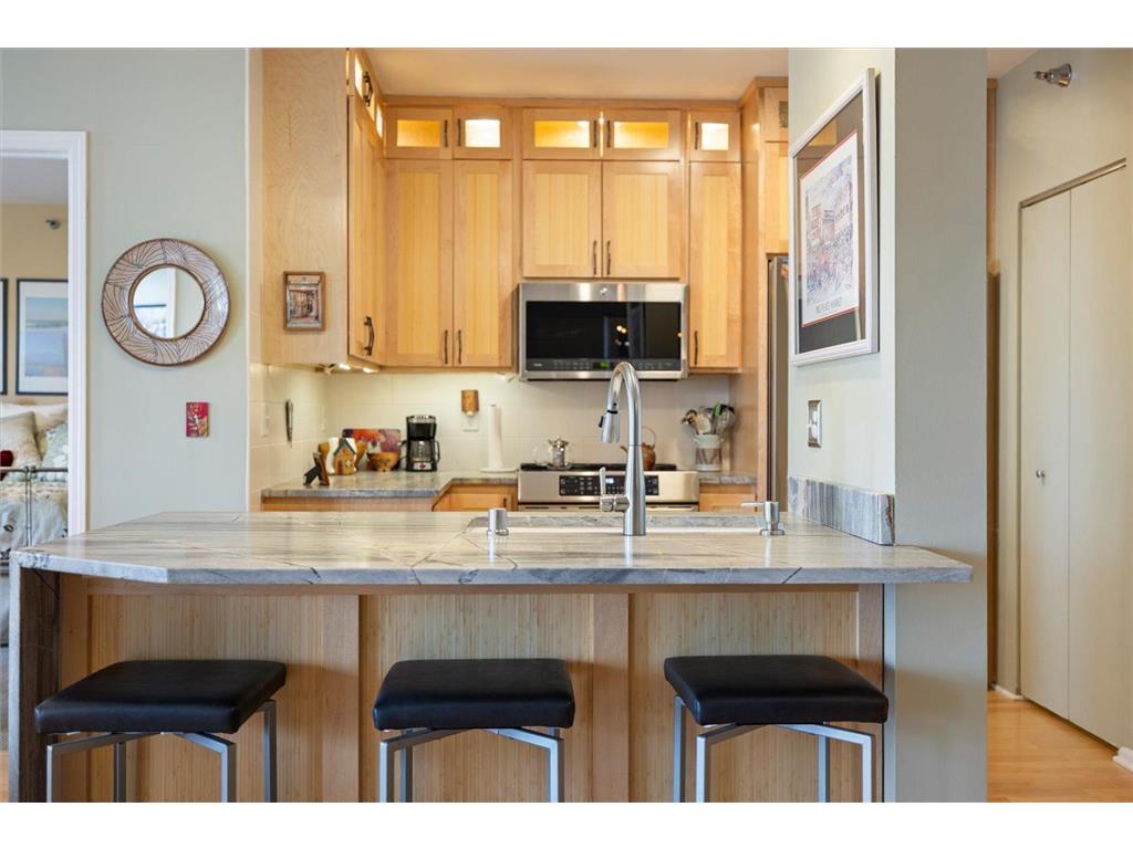 401 S 1st Street #1823 Minneapolis MN 55401 - Mississippi 7037477 image27