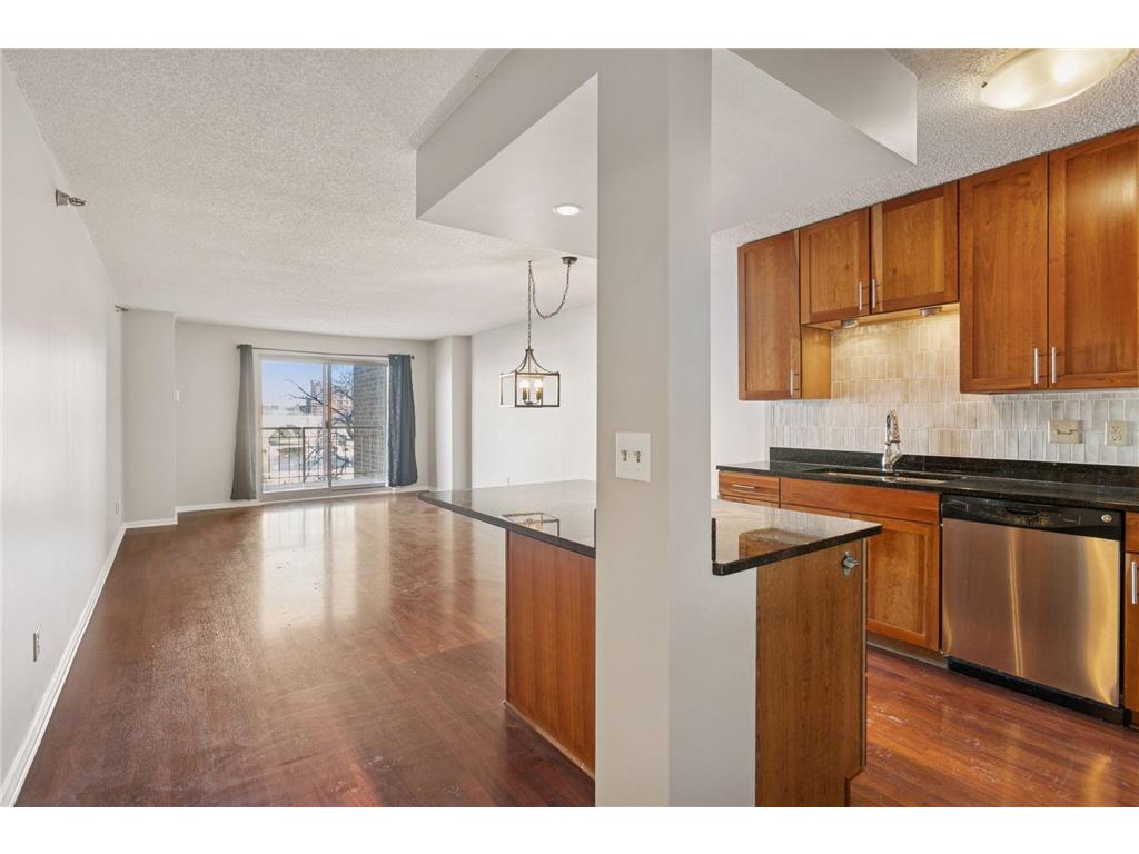 401 S 1st Street #215 Minneapolis MN 55401 - Mississippi 7061627 image5