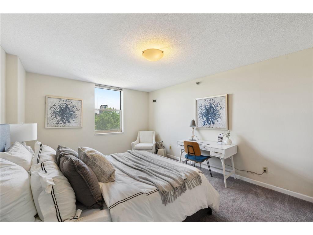 401 S 1st Street #315 Minneapolis MN 55401 6734155 image21