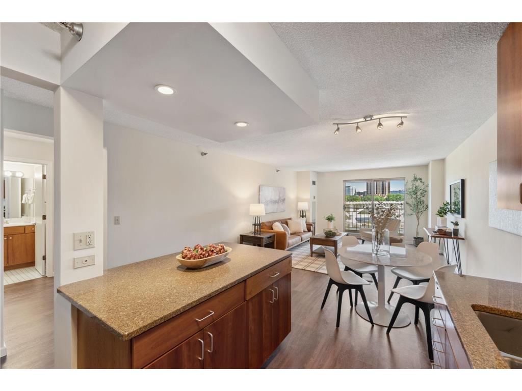 401 S 1st Street #315 Minneapolis MN 55401 6734155 image4