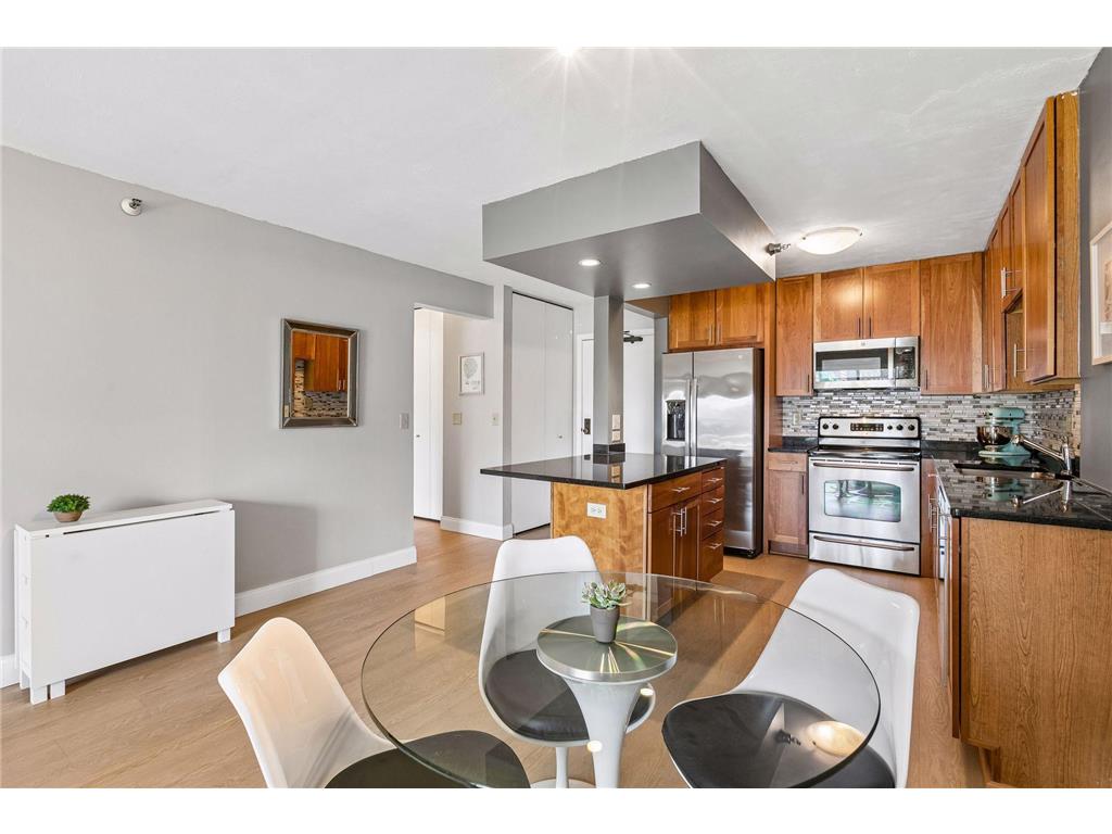 401 S 1st Street #616 Minneapolis MN 55401 - Mississippi 7065372 image10