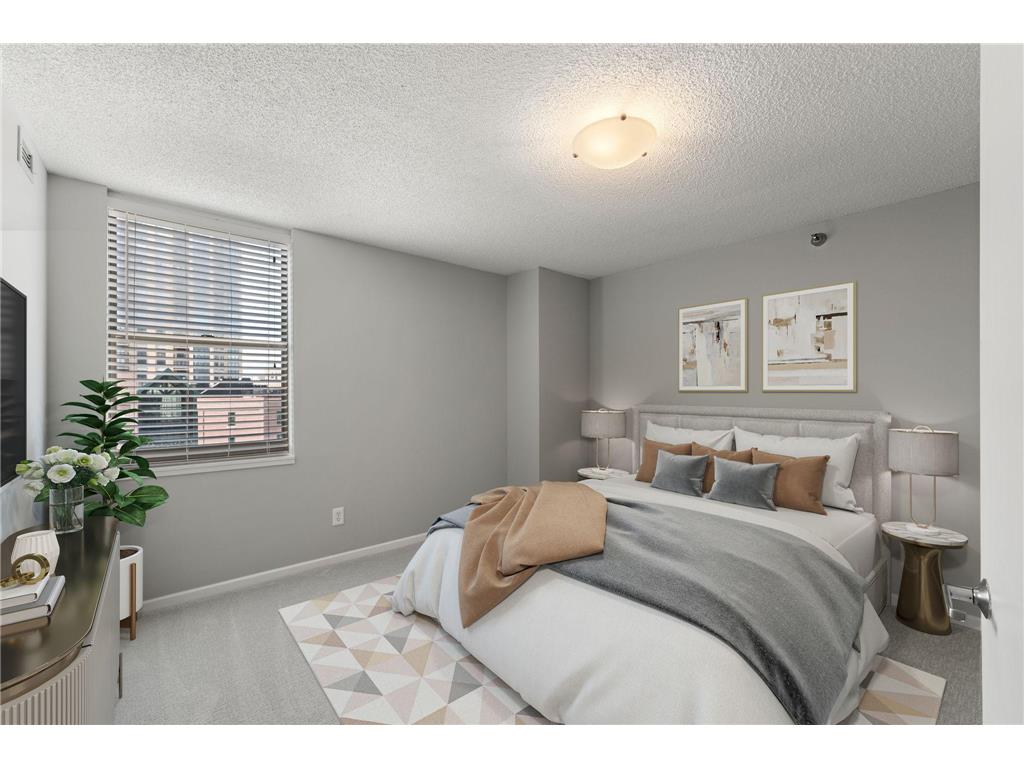 401 S 1st Street #623 Minneapolis MN 55401 - Mississippi 6814834 image19