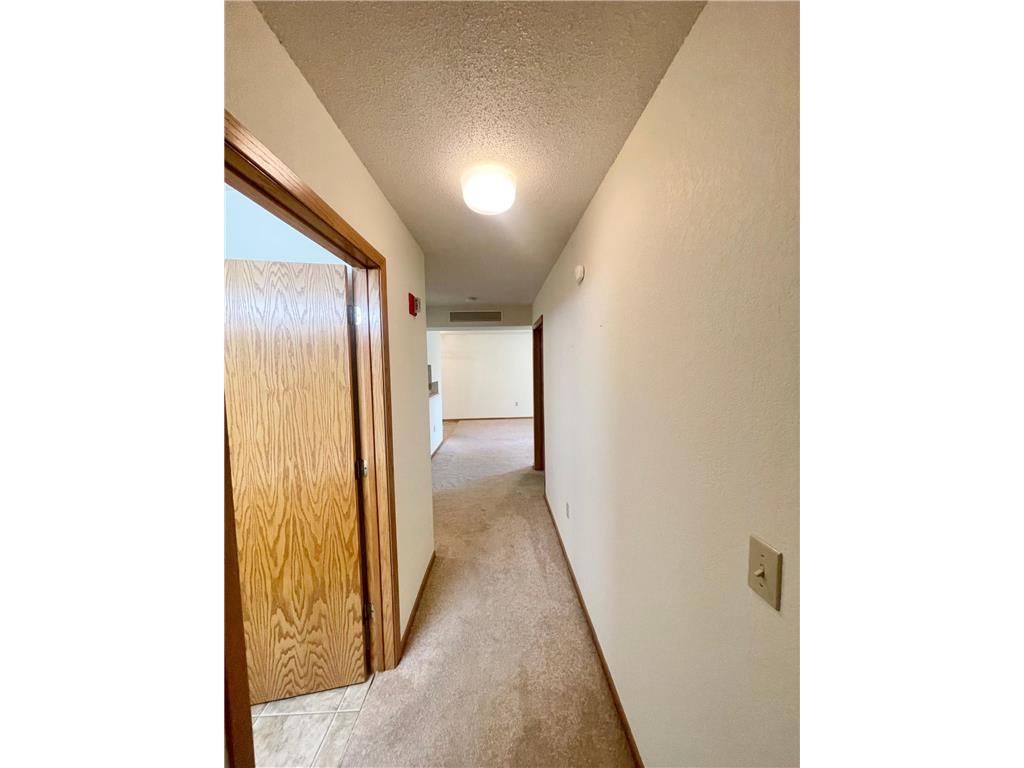 401 S County Road 5 #102 Springfield MN 56087 6738047 image15