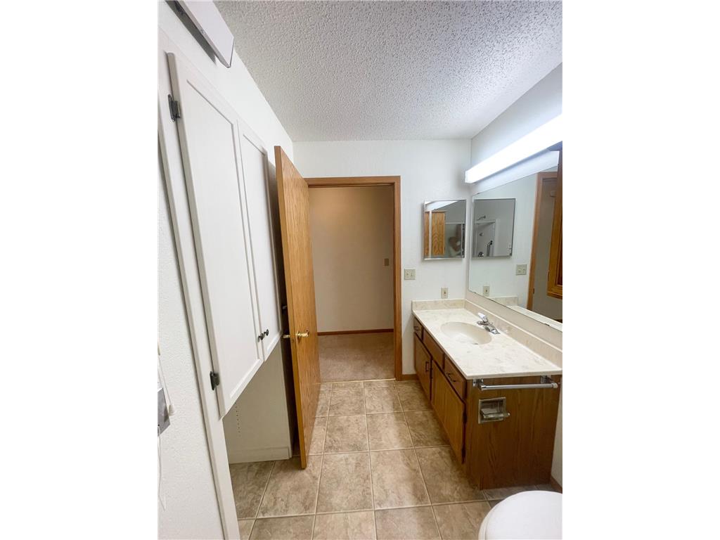 401 S County Road 5 #102 Springfield MN 56087 6738047 image17