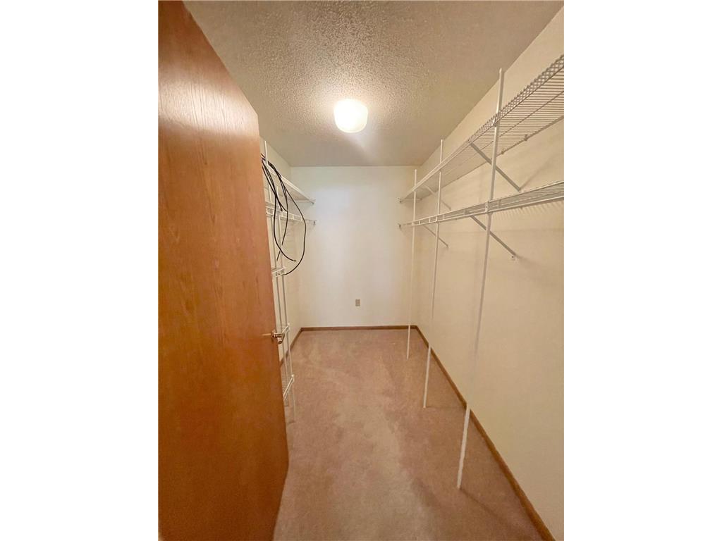 401 S County Road 5 #102 Springfield MN 56087 6738047 image22