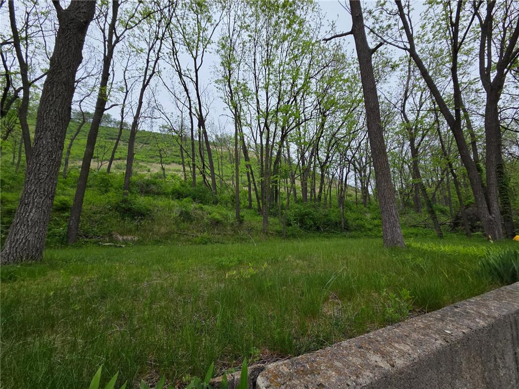 401 W Stevens Avenue Rushford MN 55971 7075651 image30