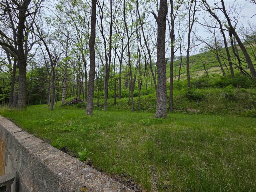 401 W Stevens Avenue Rushford MN 55971 7075651 image31