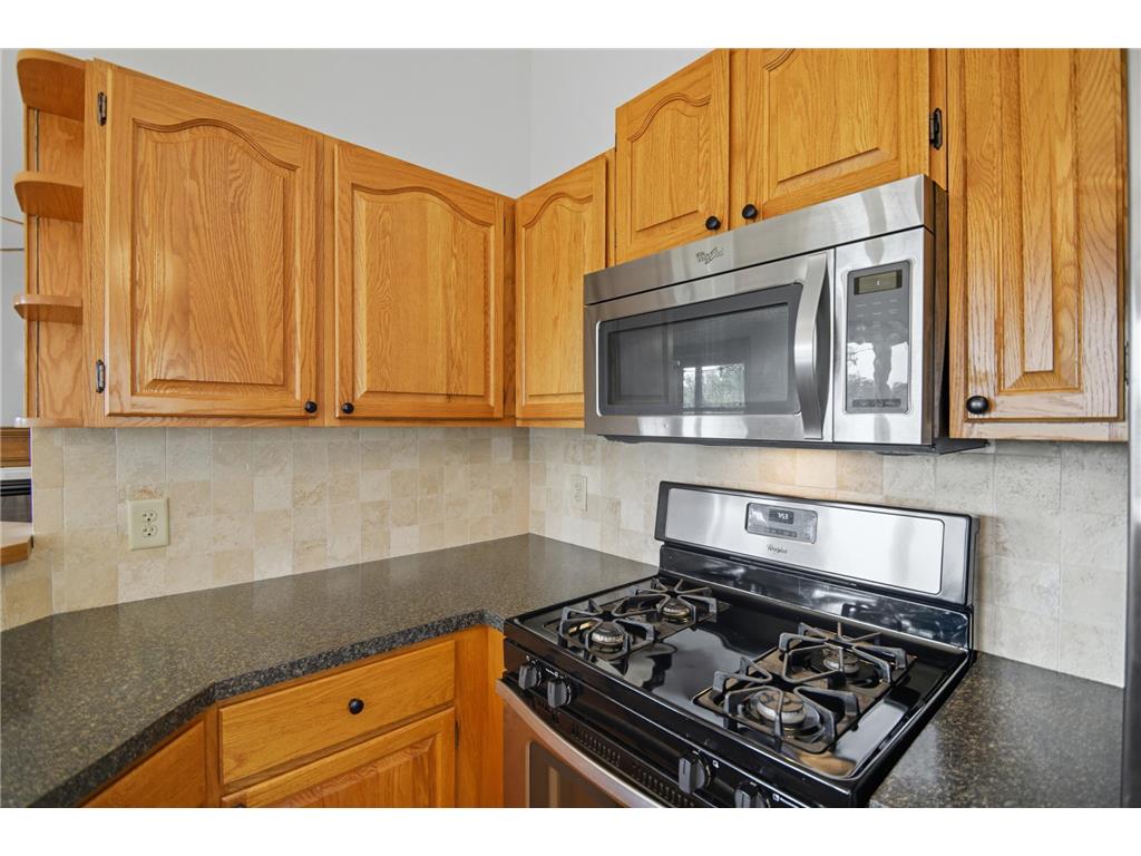 401 Walnut Avenue #201 Madison Lake MN 56063 - Madison Lake 6803399 image10