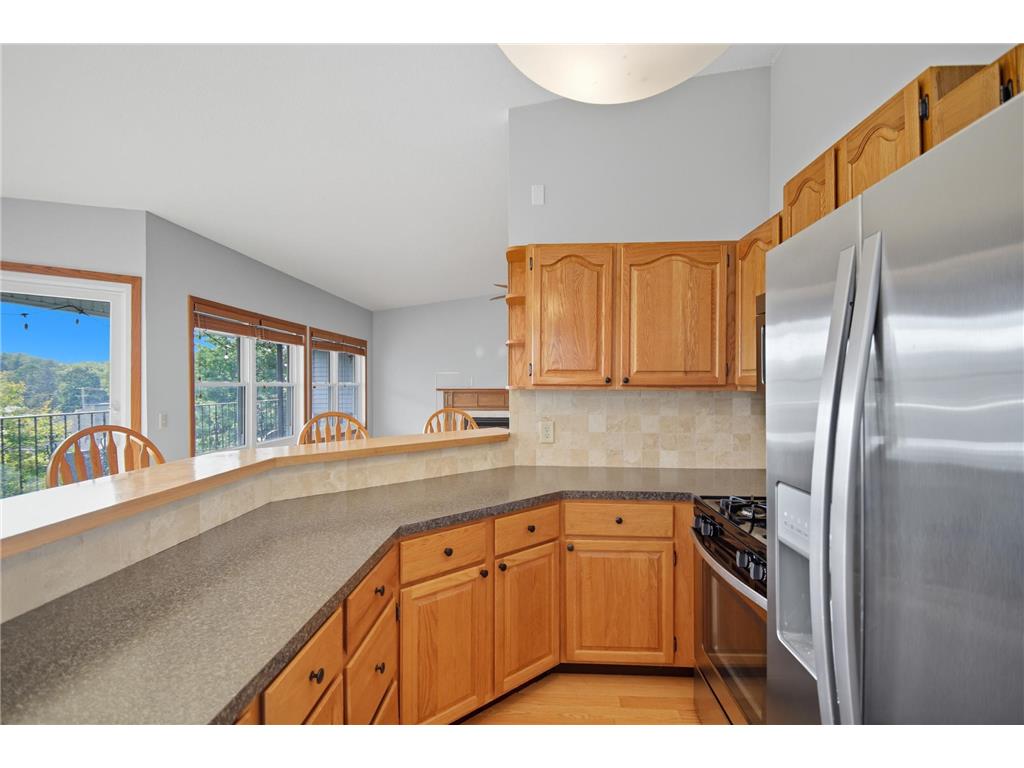 401 Walnut Avenue #201 Madison Lake MN 56063 - Madison Lake 6803399 image11