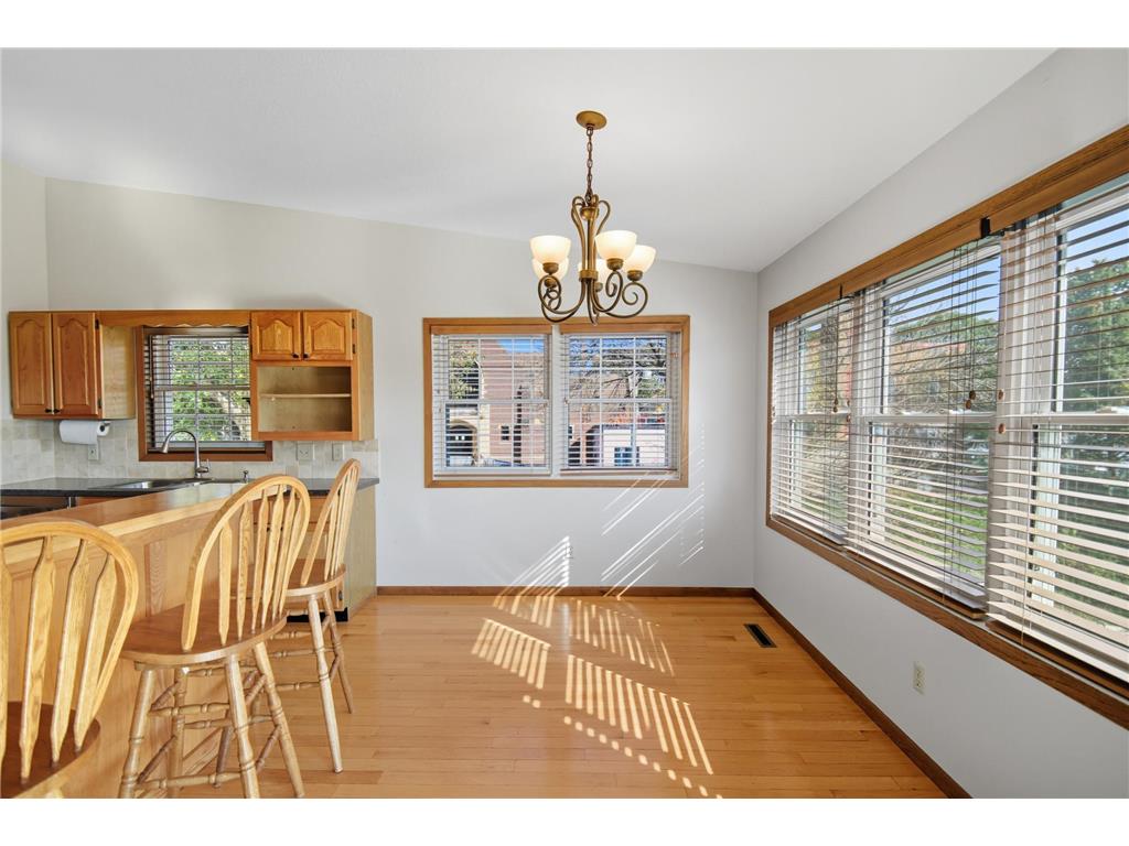 401 Walnut Avenue #201 Madison Lake MN 56063 - Madison Lake 6803399 image13