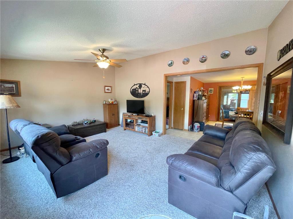 401 Wilson Street W Springfield MN 56087 7100742 image4