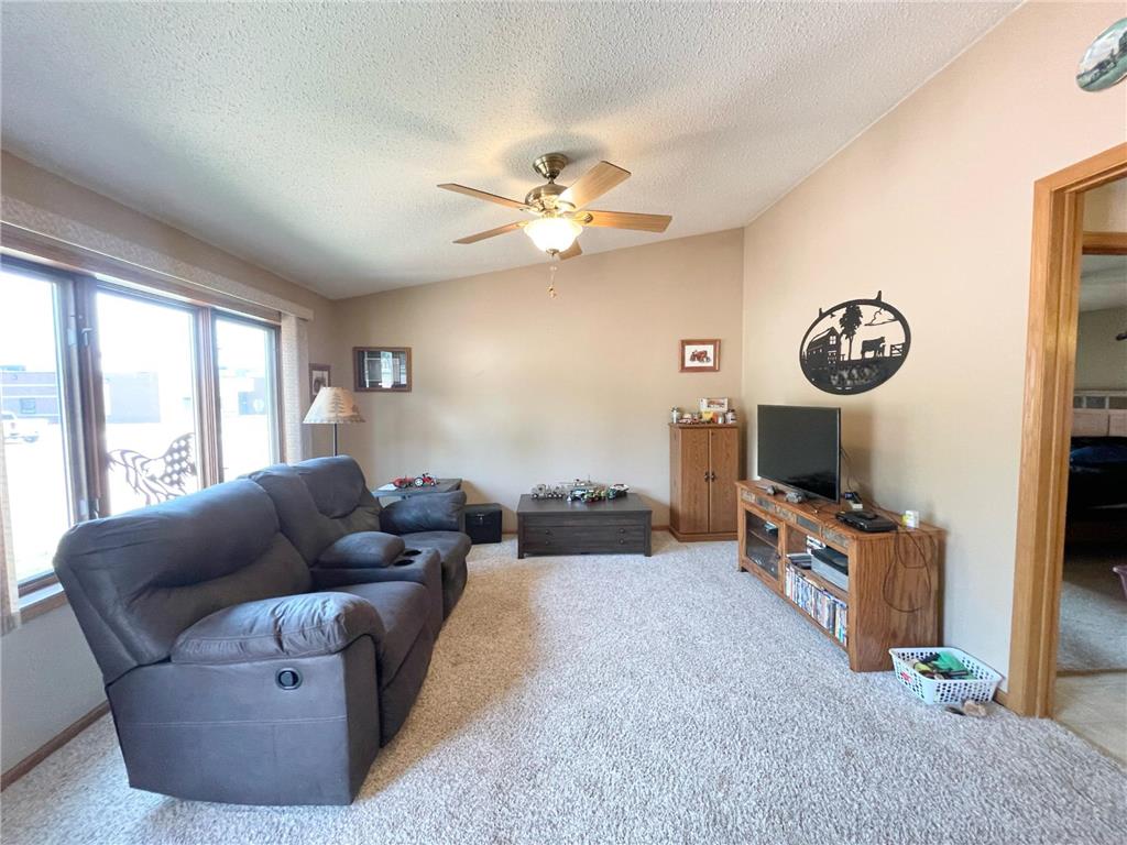 401 Wilson Street W Springfield MN 56087 7100742 image6