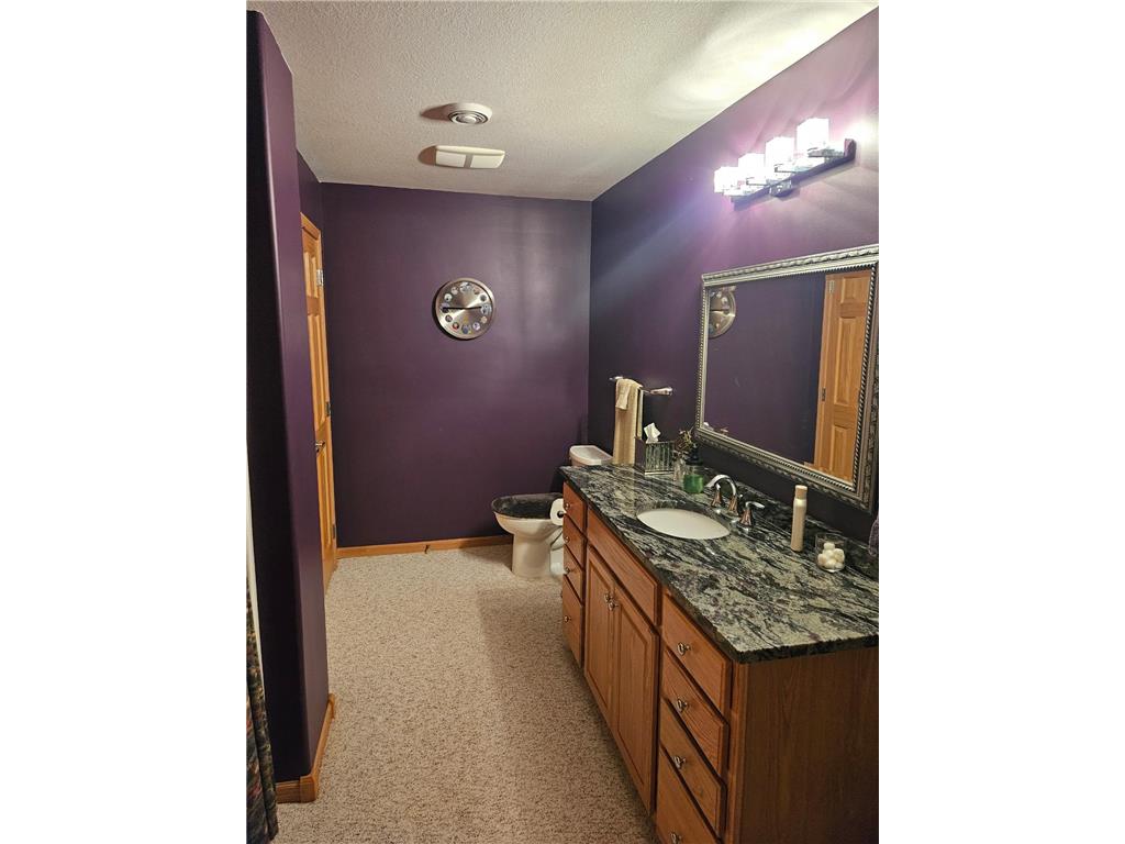 40107 County 17 Fawn Lake Twp MN 56438 - Pine Island 7100154 image11