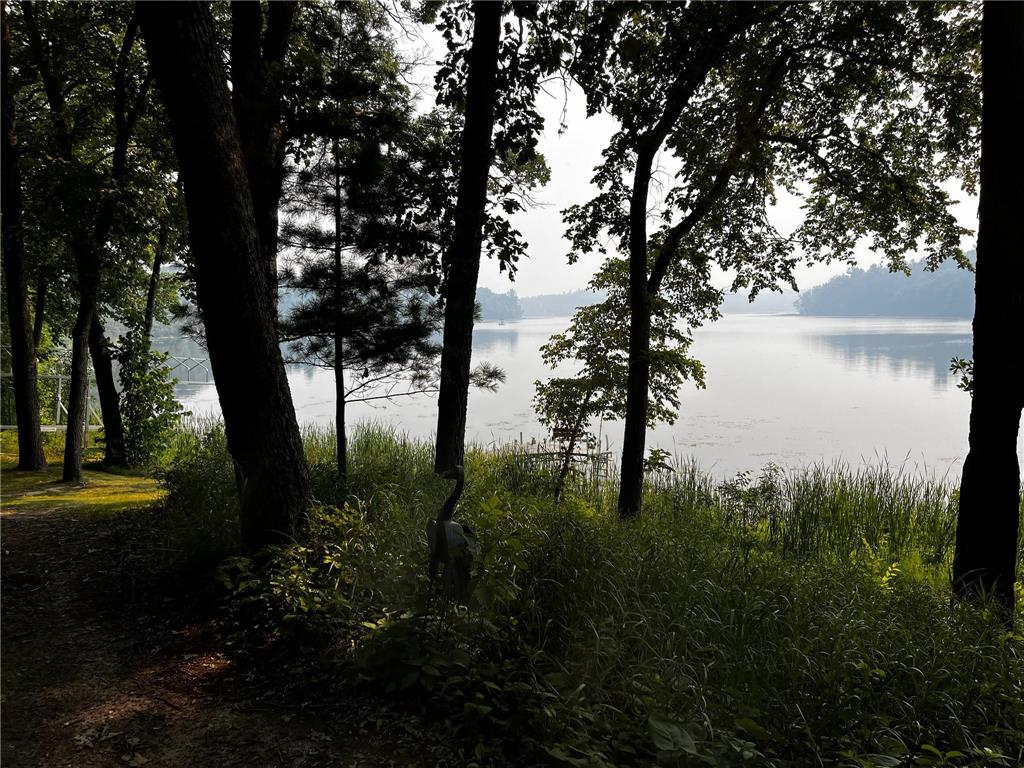 40107 County 17 Fawn Lake Twp MN 56438 - Pine Island 7100154 image26