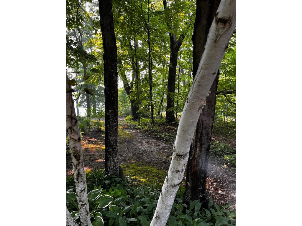 40107 County 17 Fawn Lake Twp MN 56438 - Pine Island 7100154 image27