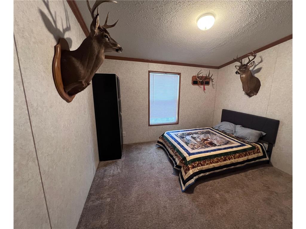 40118 344th Street Aitkin Twp MN 56431 7063993 image7