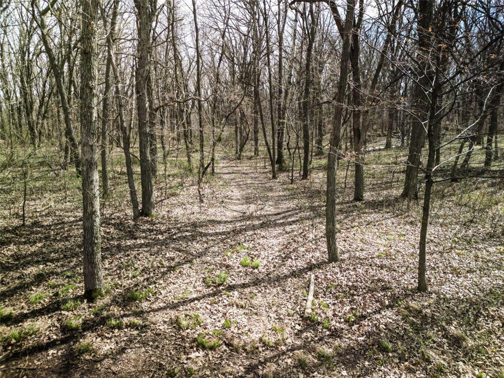 40142 244th Street Girard Twp MN 56515 7053589 image16