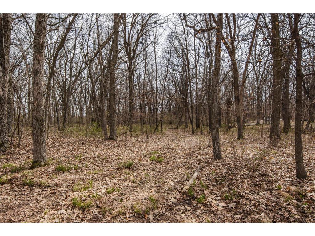 40142 244th Street Girard Twp MN 56515 7053589 image39