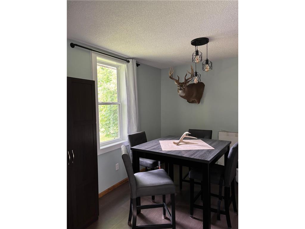 40149 181st Street Mickinock Twp MN 56761 7009379 image4