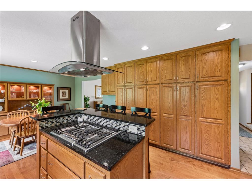 4015 Forestview Lane N Plymouth MN 55441 7067998 image12
