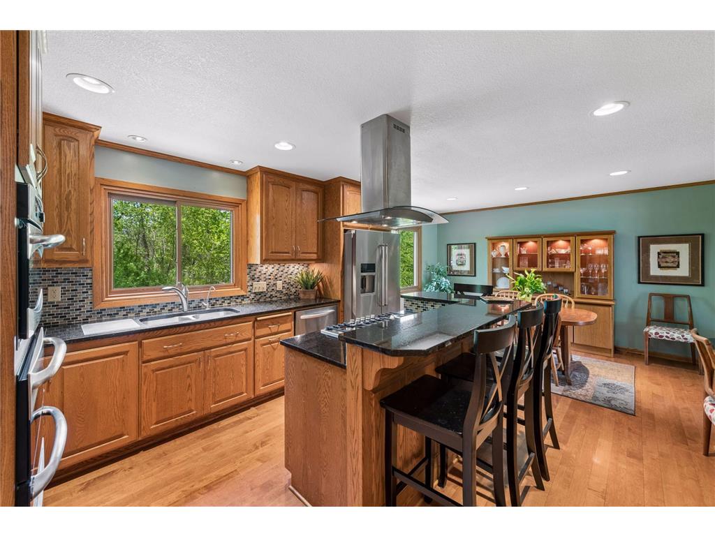 4015 Forestview Lane N Plymouth MN 55441 7067998 image13