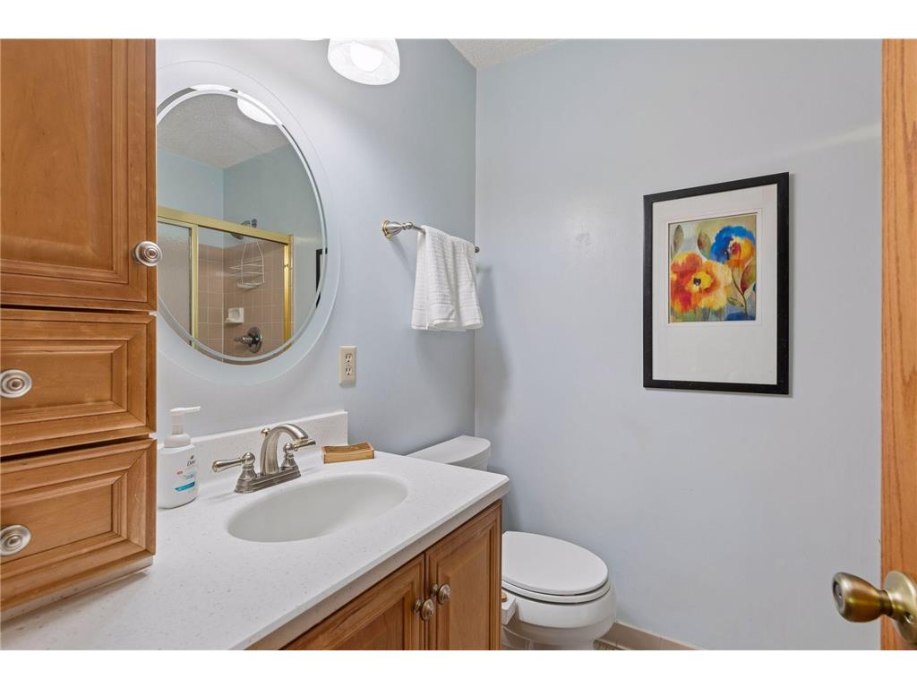4015 Forestview Lane N Plymouth MN 55441 7067998 image21