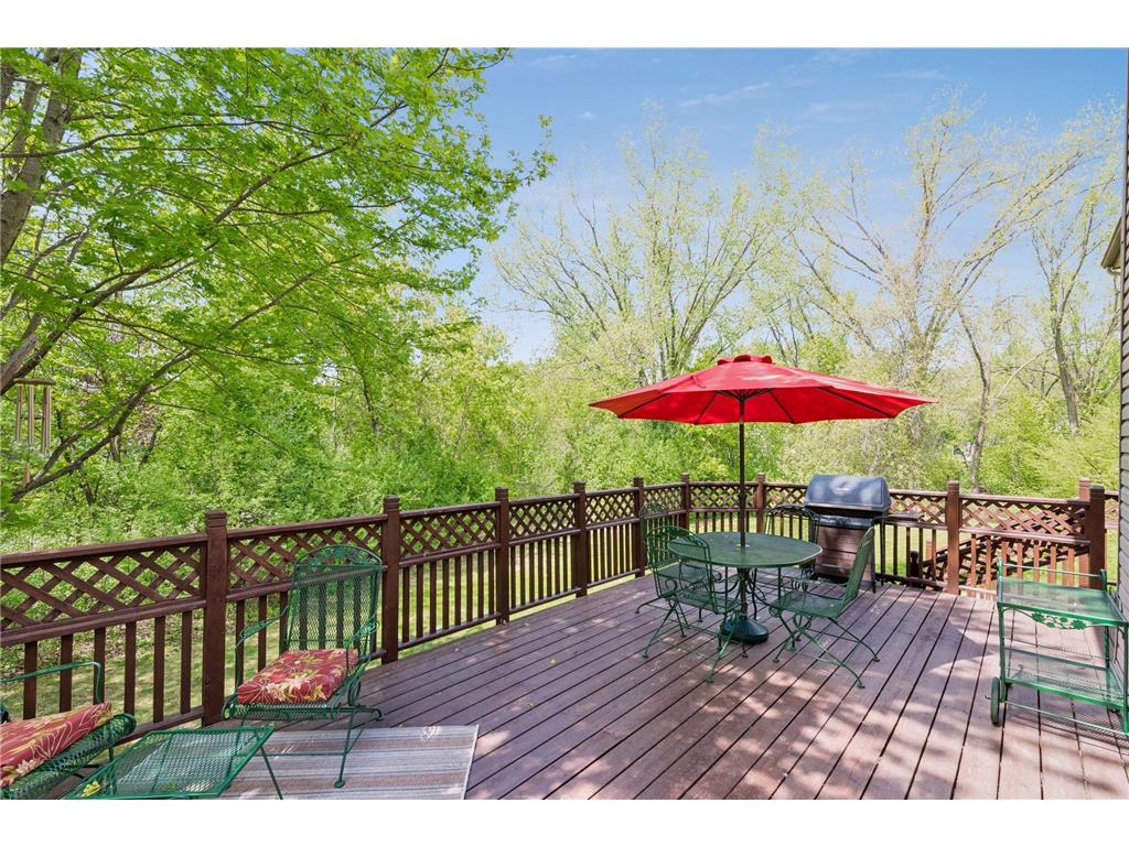 4015 Forestview Lane N Plymouth MN 55441 7067998 image38