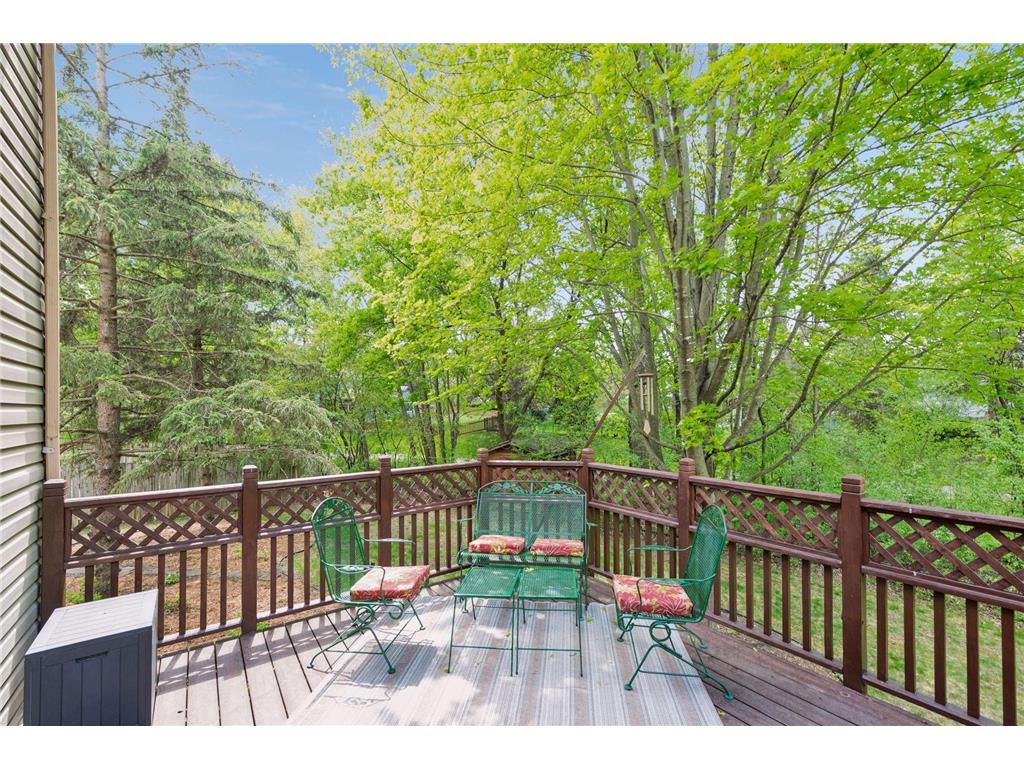 4015 Forestview Lane N Plymouth MN 55441 7067998 image39
