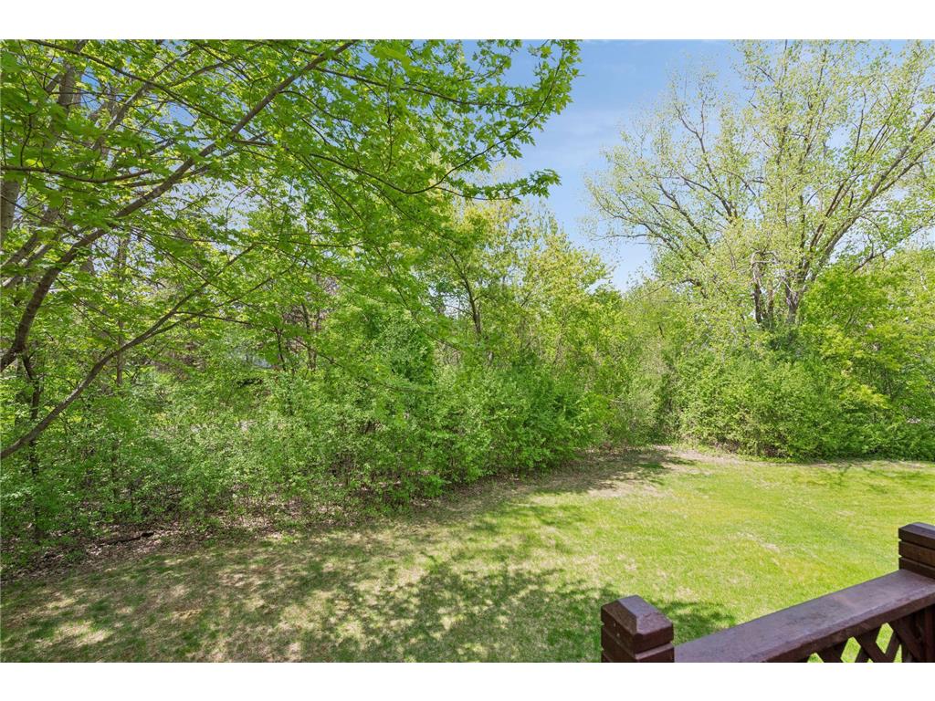 4015 Forestview Lane N Plymouth MN 55441 7067998 image41