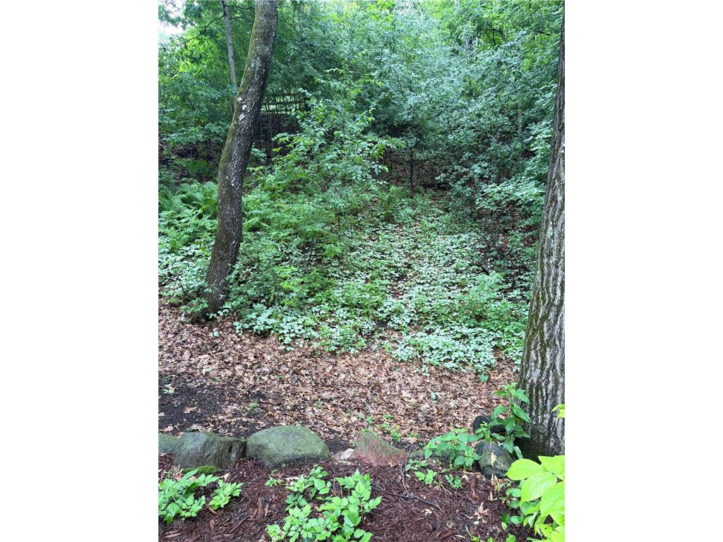 4015 Hosford Hills Road Eagan MN 55123 7083344 image46