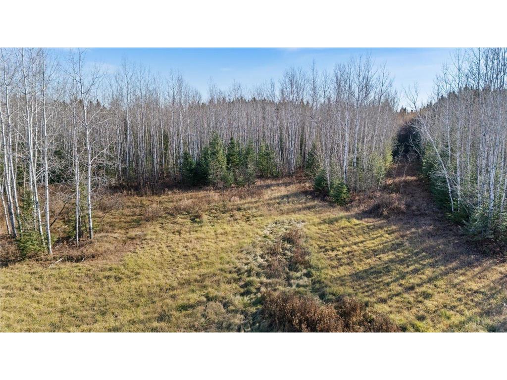 4017 Hwy 25 Cherry Twp MN 55751 6818741 image27