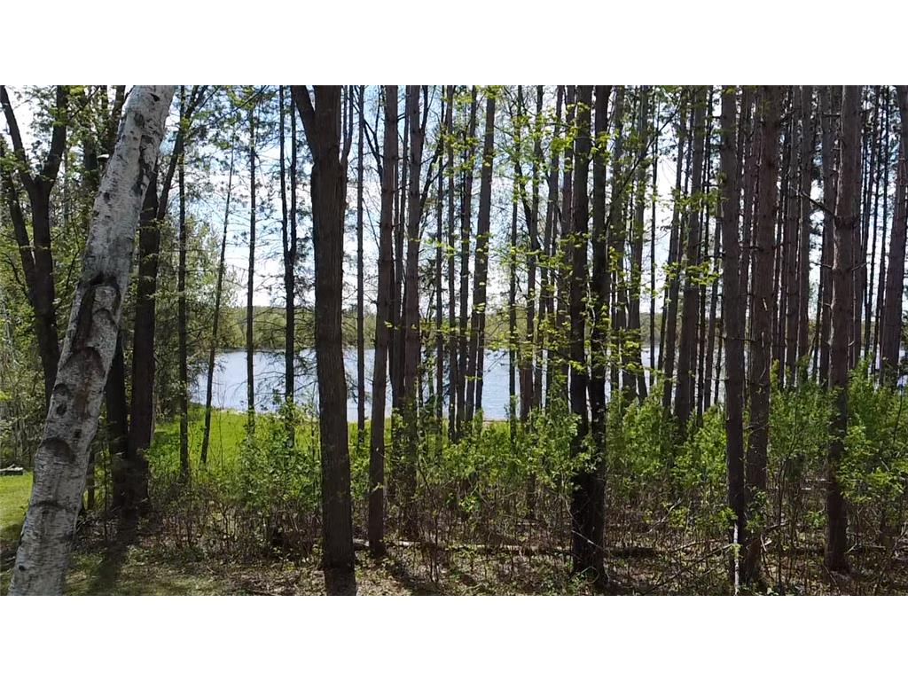 40189 315th Lane Aitkin MN 56431 - Diamond Lake 7079930 image6