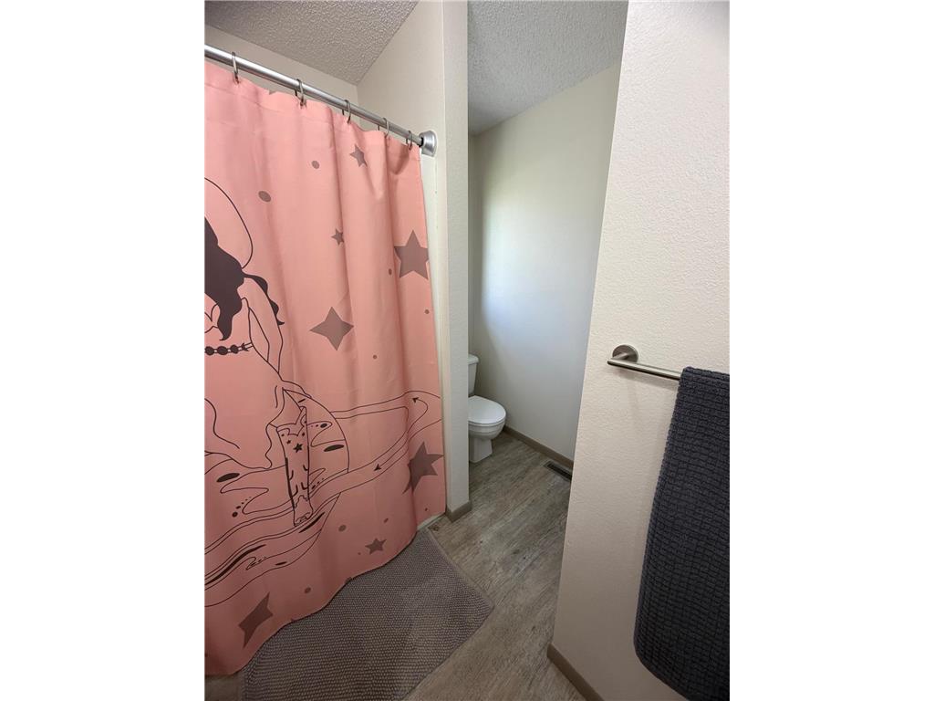 40193 290th Street SE Eden Twp MN 56646 7071362 image22