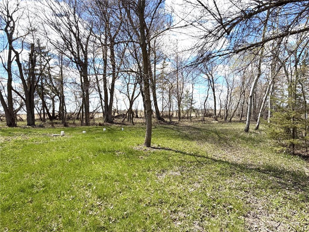 40193 290th Street SE Eden Twp MN 56646 7071362 image35