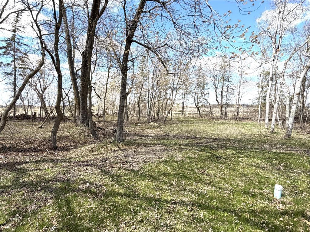 40193 290th Street SE Eden Twp MN 56646 7071362 image37