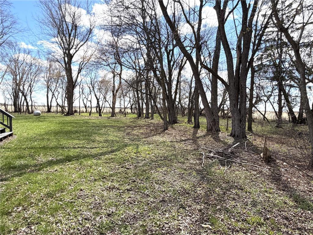 40193 290th Street SE Eden Twp MN 56646 7071362 image38
