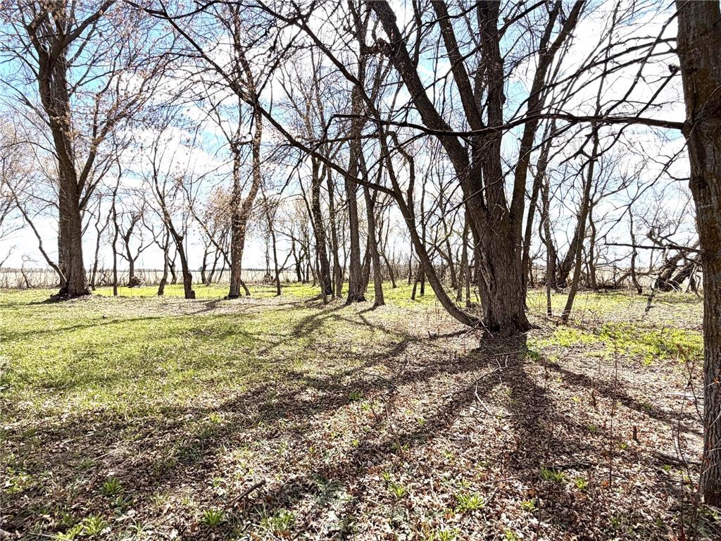 40193 290th Street SE Eden Twp MN 56646 7071362 image41