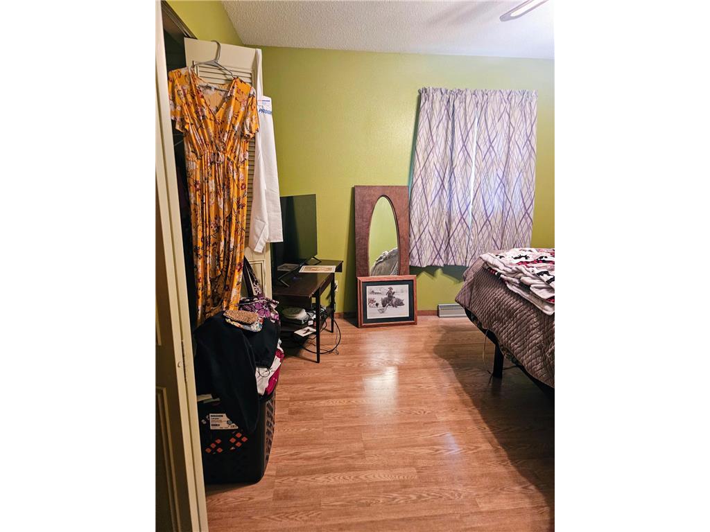 402 E 2nd Street N Truman MN 56088 6790179 image19