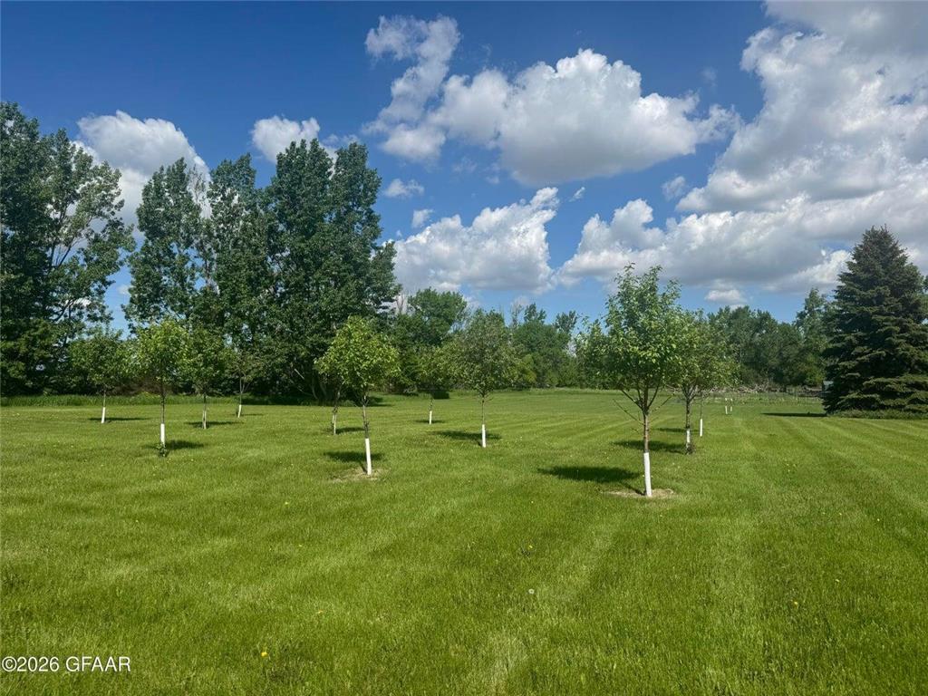 402 Main Avenue Colgate ND 58046 7057419 image6