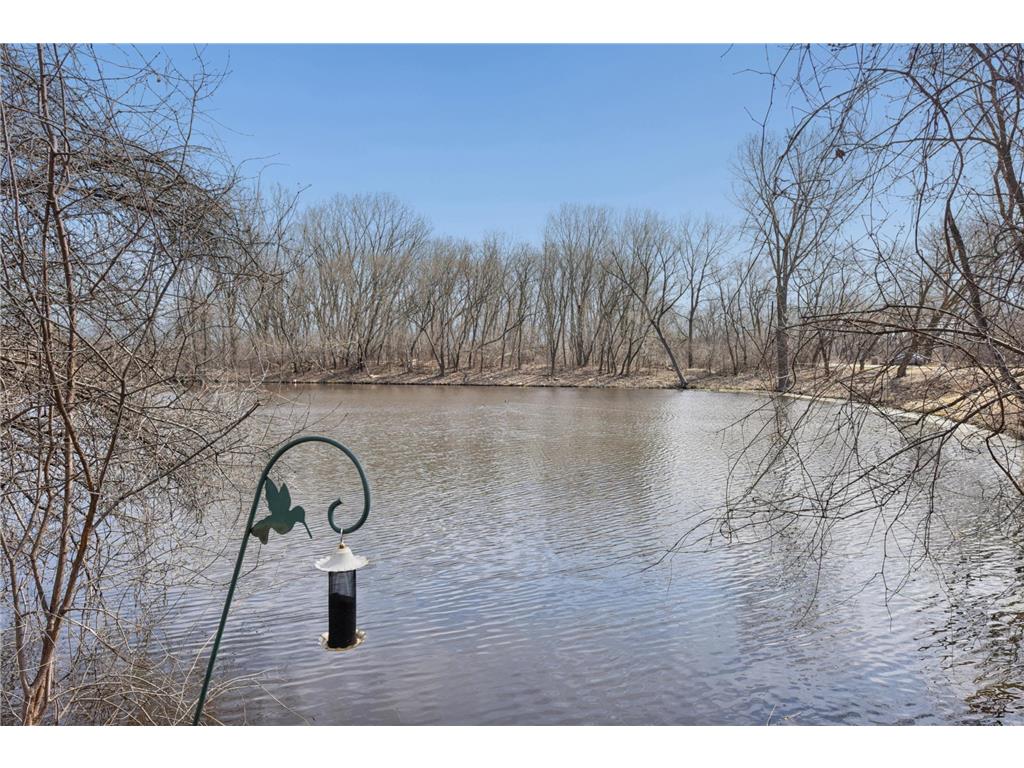 4023 Hadley Avenue N Oakdale MN 55128 7047504 image32