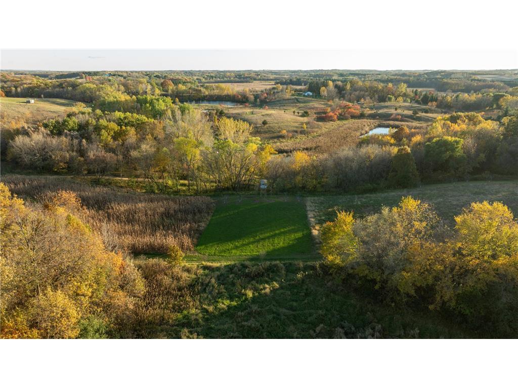 4026 Union Lake Trail Forest Twp MN 55057 6811339 image100